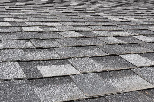 Asphalt Shingle Roofs - Coastal Roof Expert